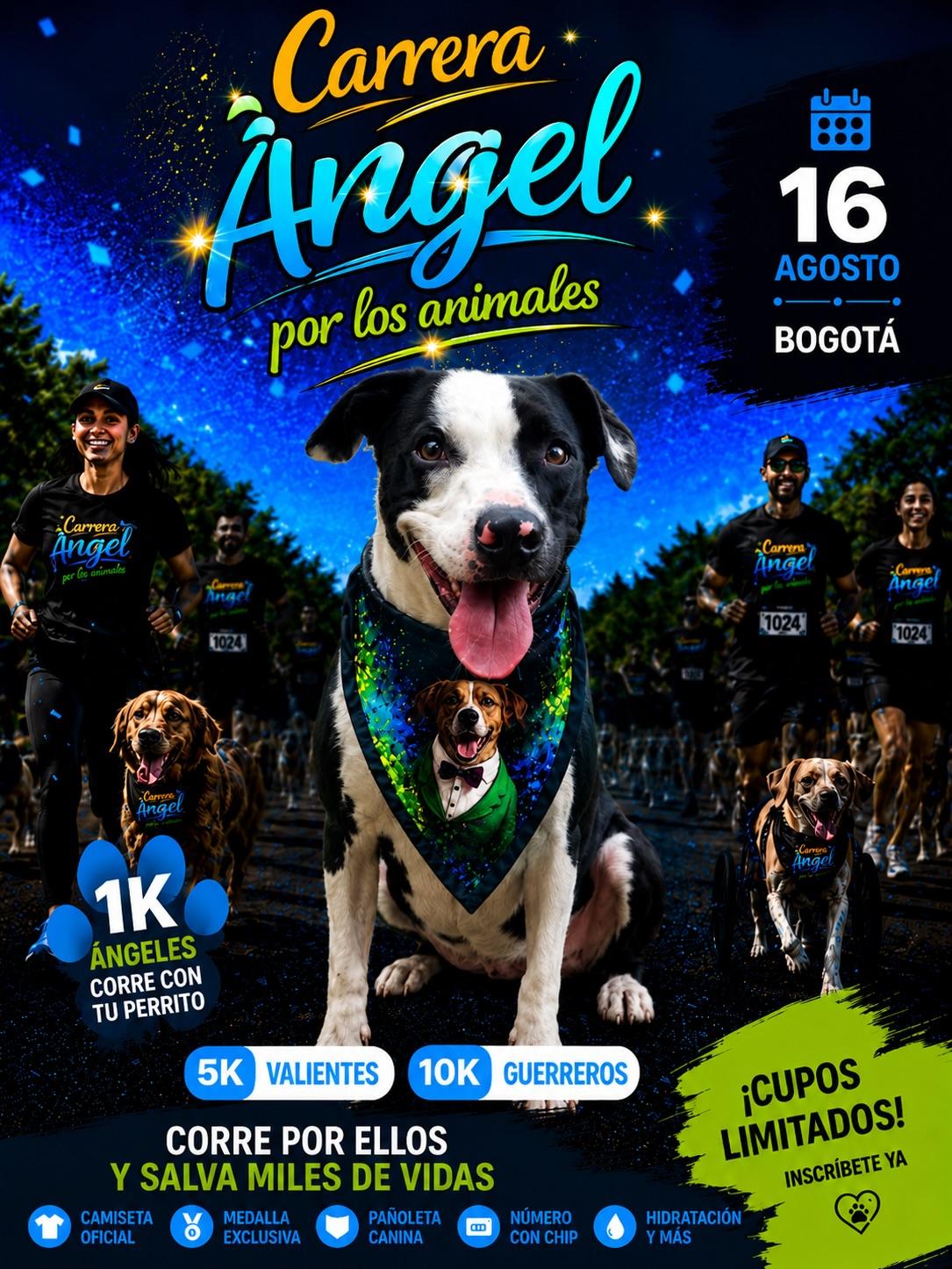 Morita, Ángel, Chontaduro (16/20)