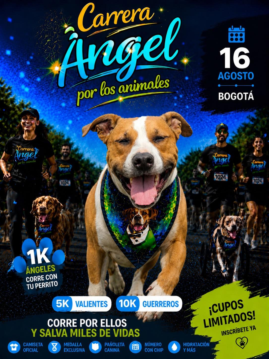 Morita, Ángel, Chontaduro (20/20)