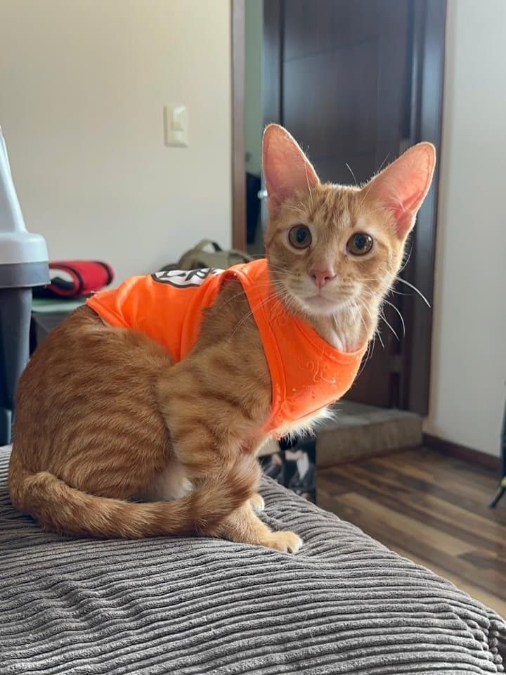 Mérida, Timmy (1/5)