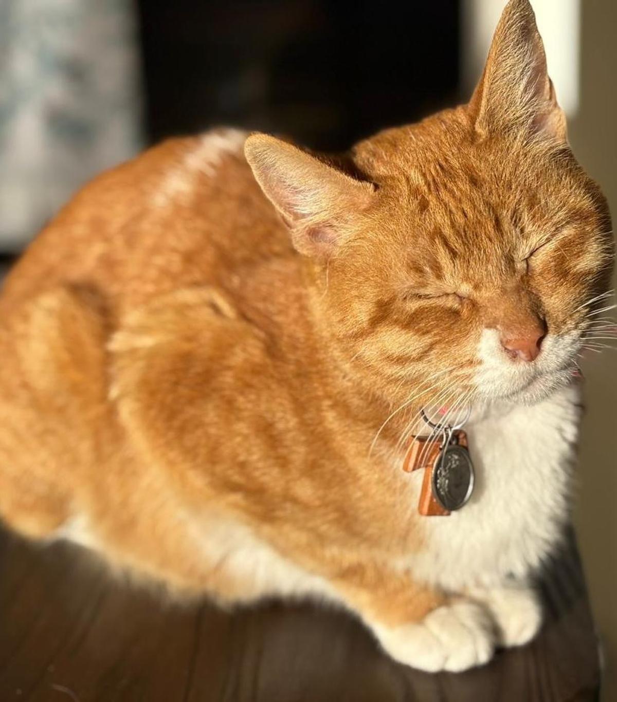 Mérida, Timmy (4/5)