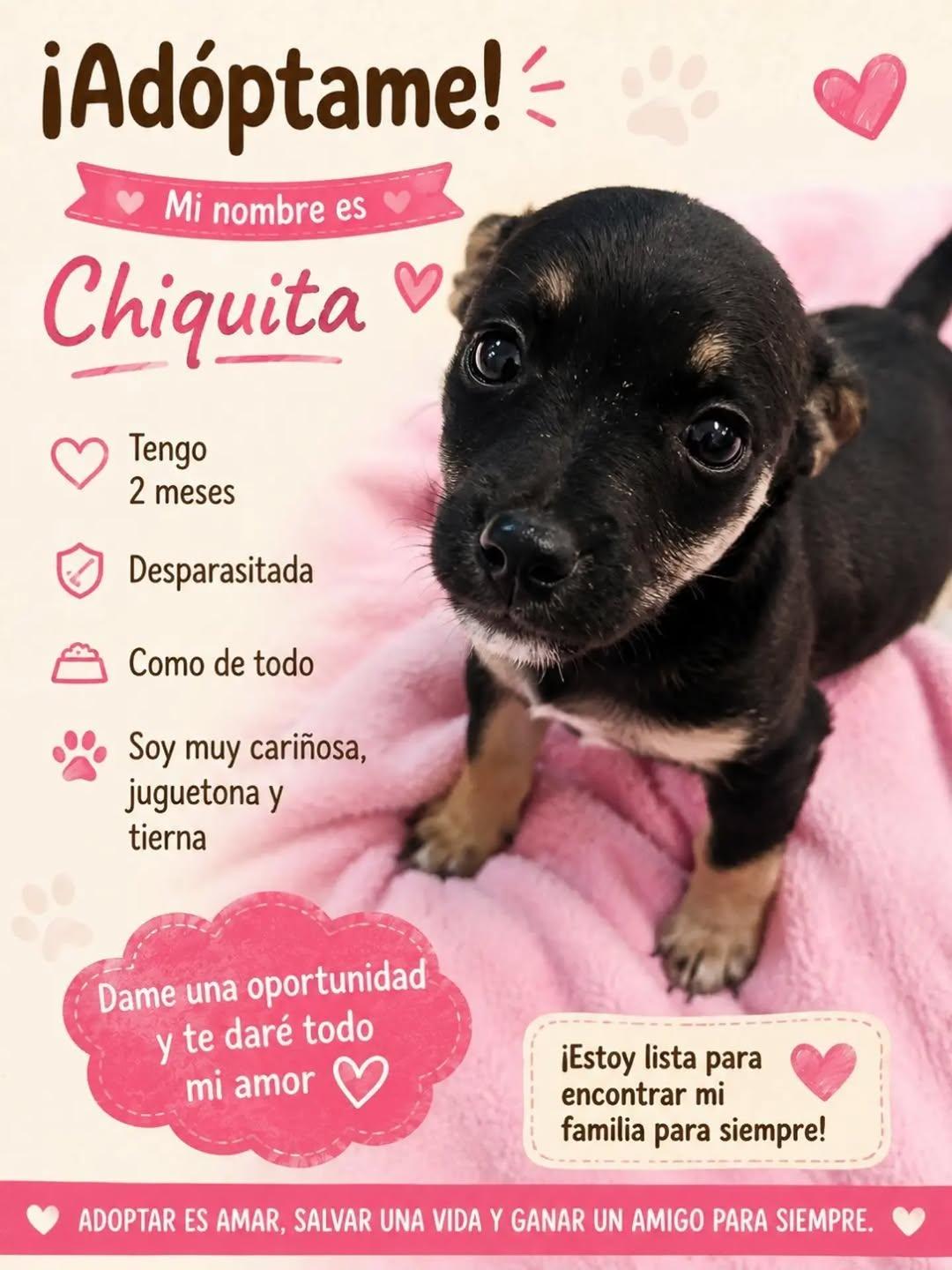 Chiquita