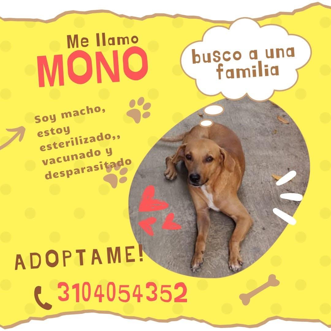 Mono