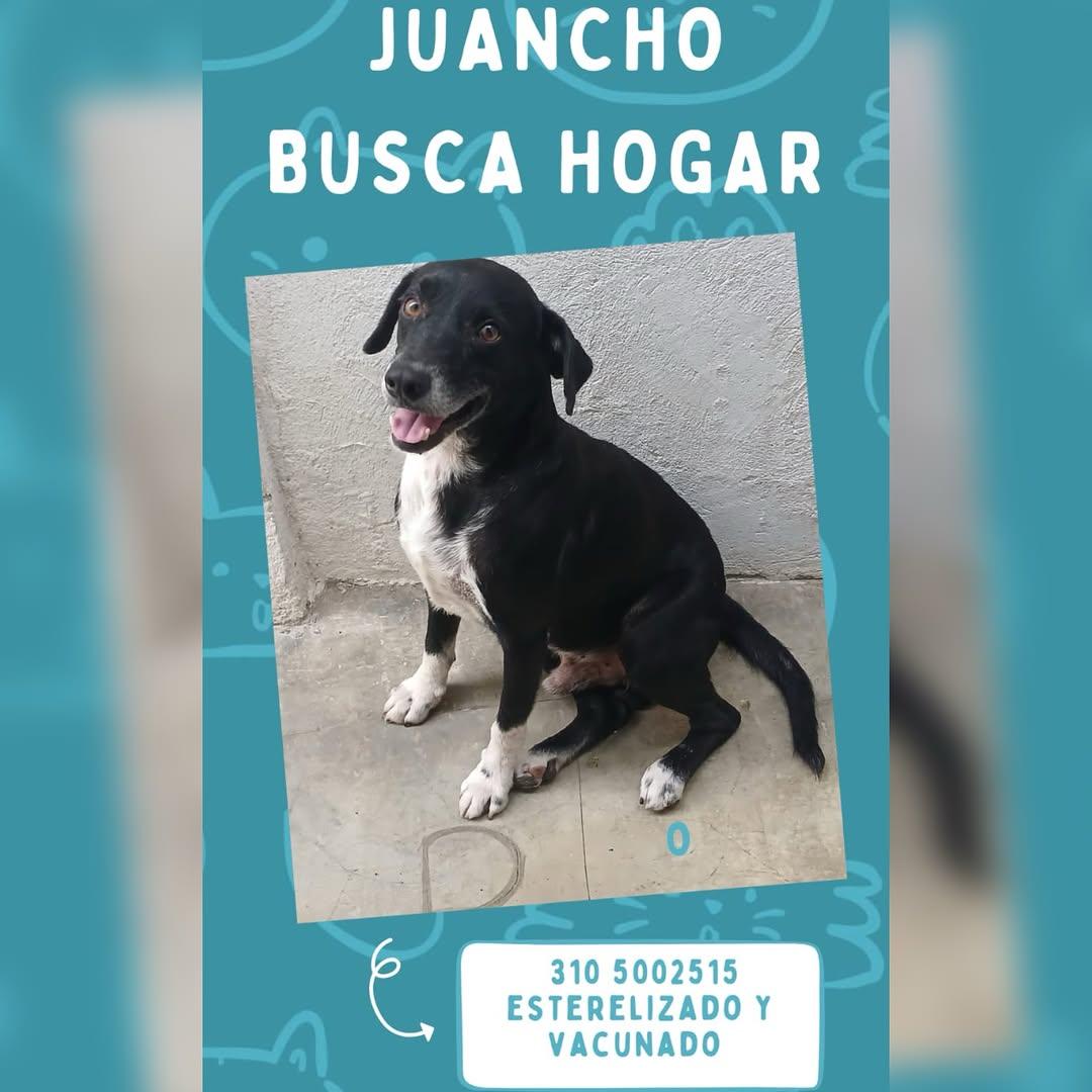 Juancho