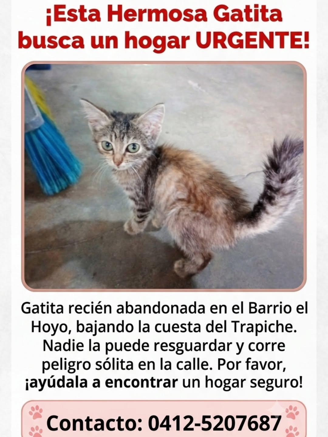 Sin nombre
