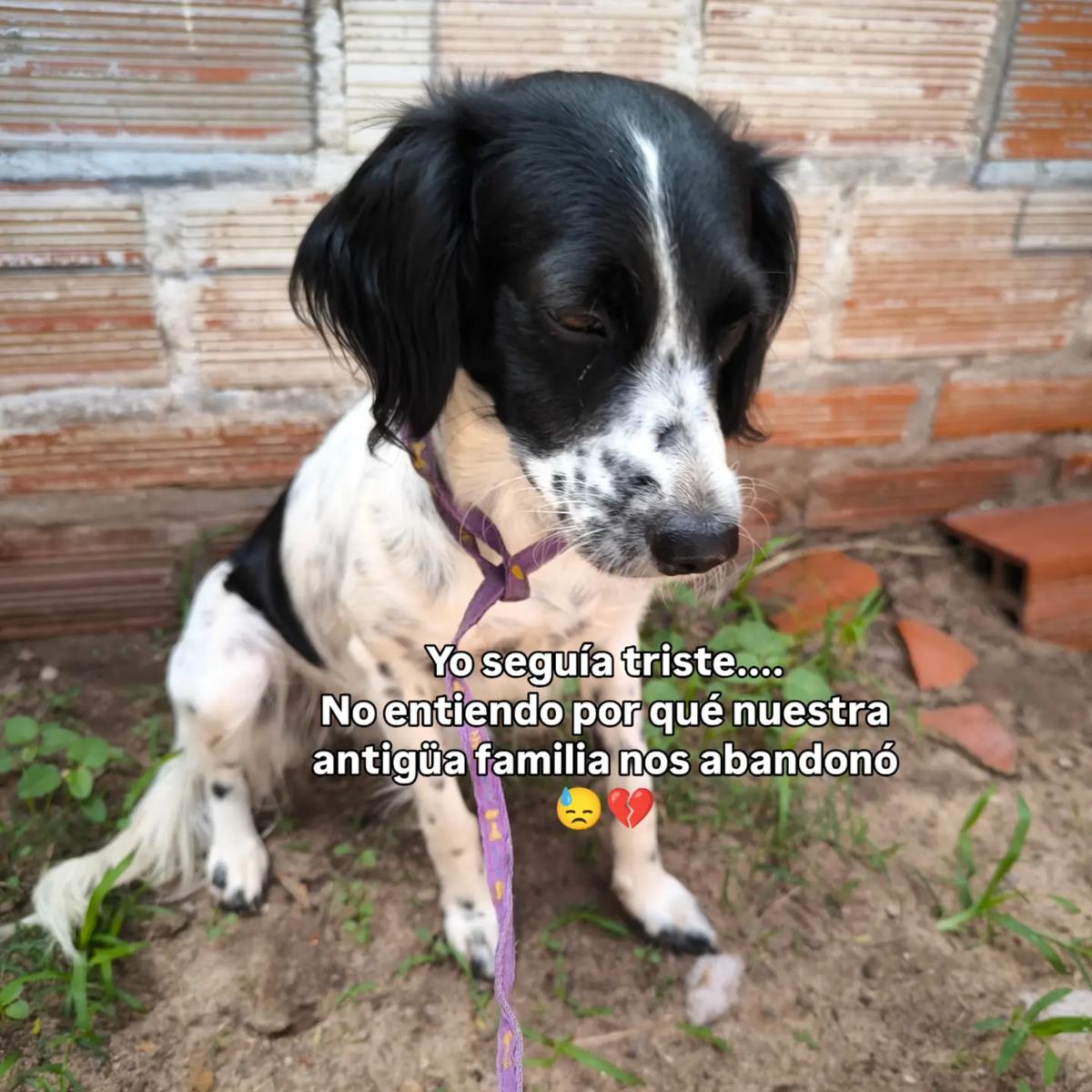 Chispitas, Muñeca (4/9)