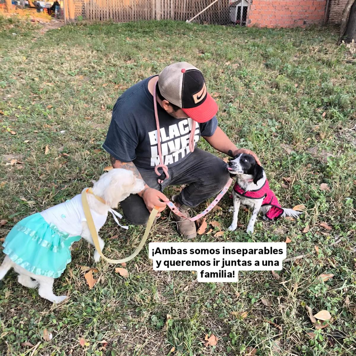 Chispitas, Muñeca (8/9)