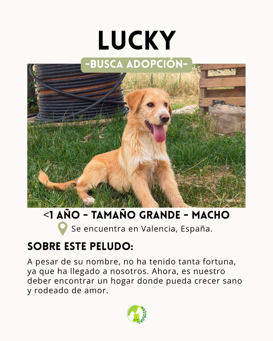 Lucky (2/6)