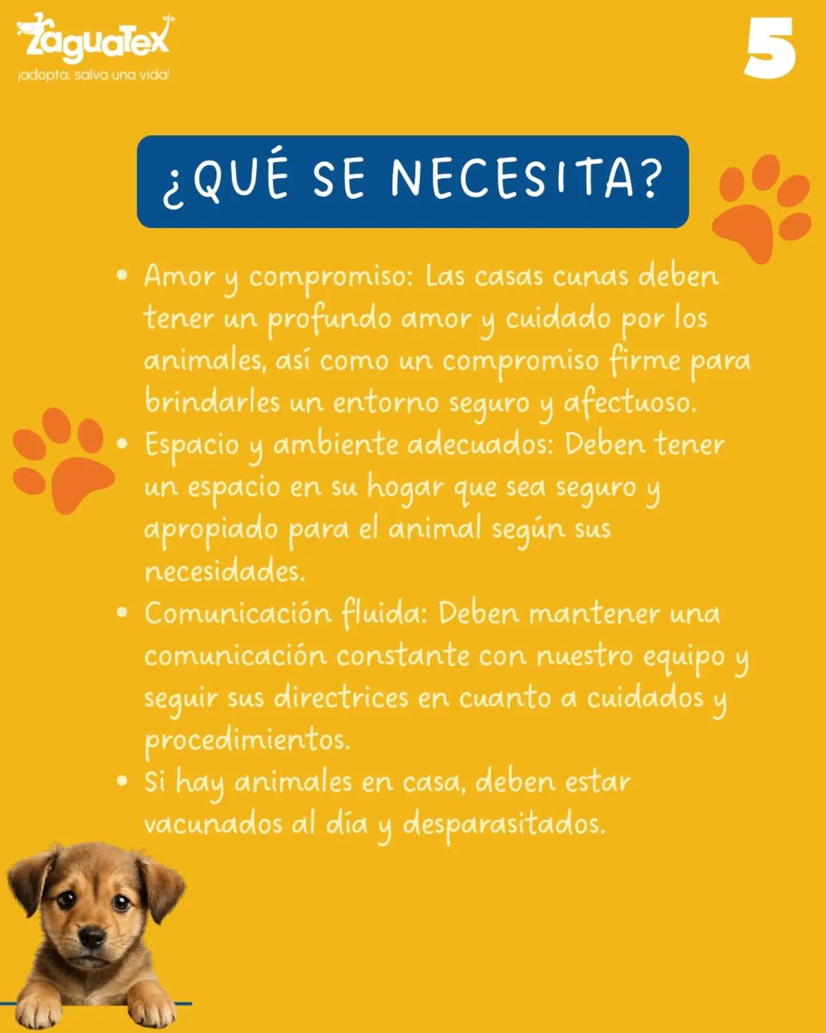 Sin nombre (4/5)