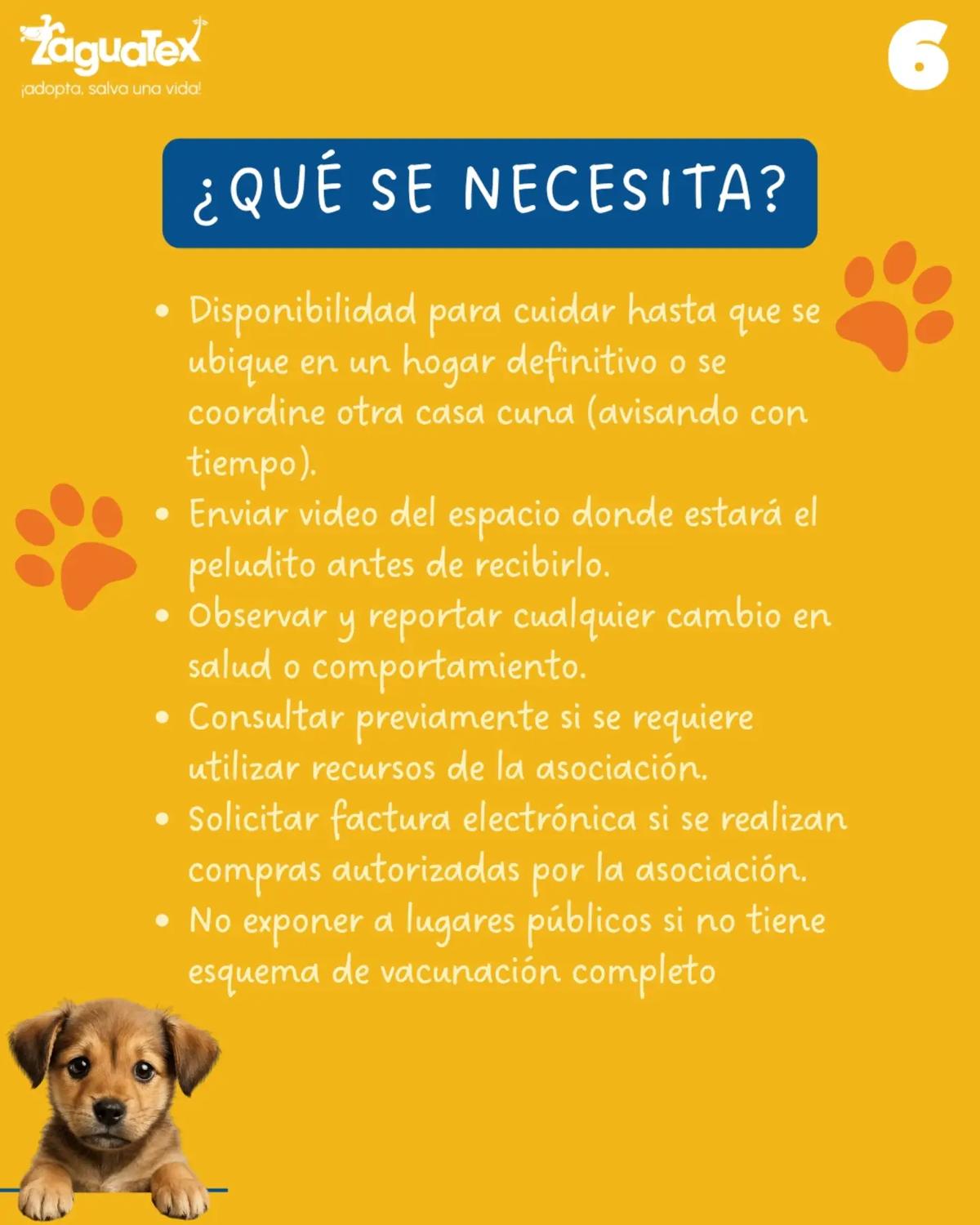 Sin nombre (5/5)