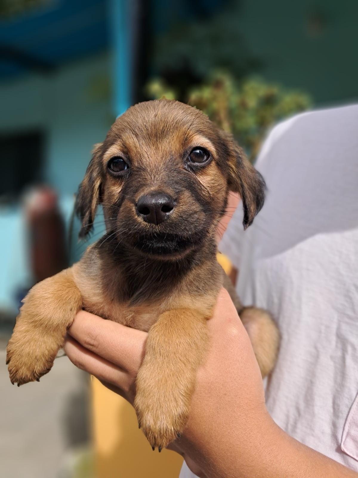 Príncipe, Floyd, Pedro +5 (1/20)