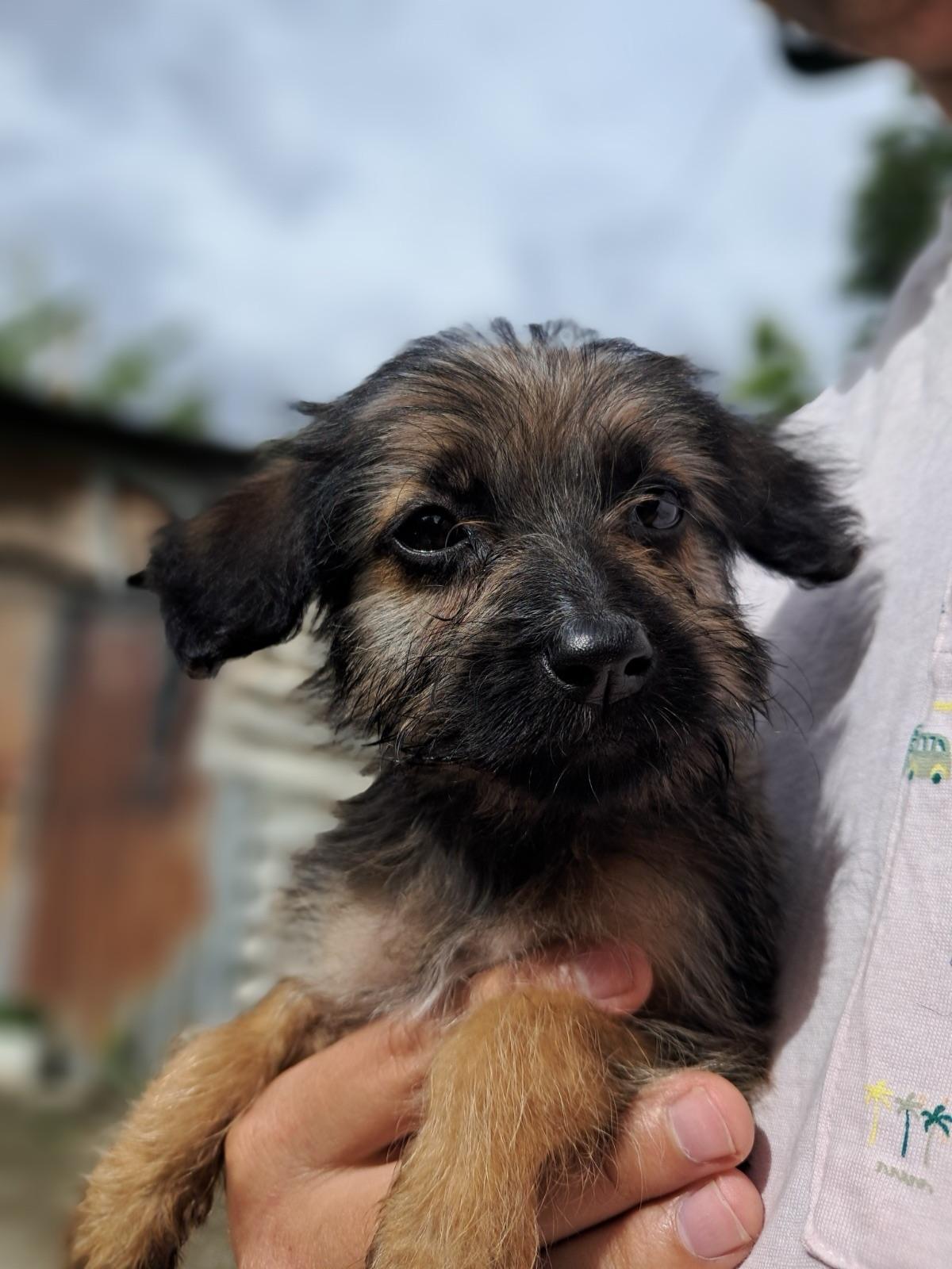 Príncipe, Floyd, Pedro +5 (2/20)