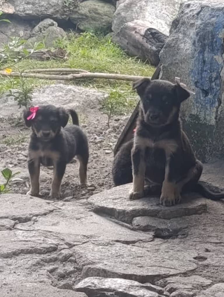 Príncipe, Floyd, Pedro +5 (11/20)