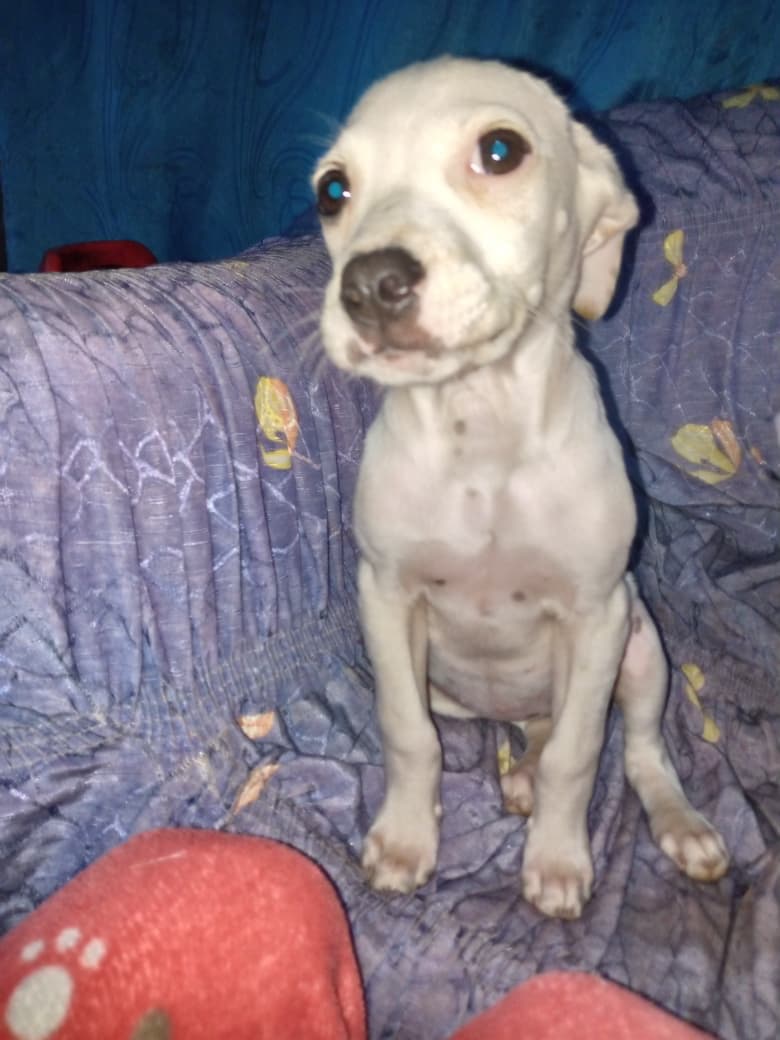 Príncipe, Floyd, Pedro +5 (16/20)