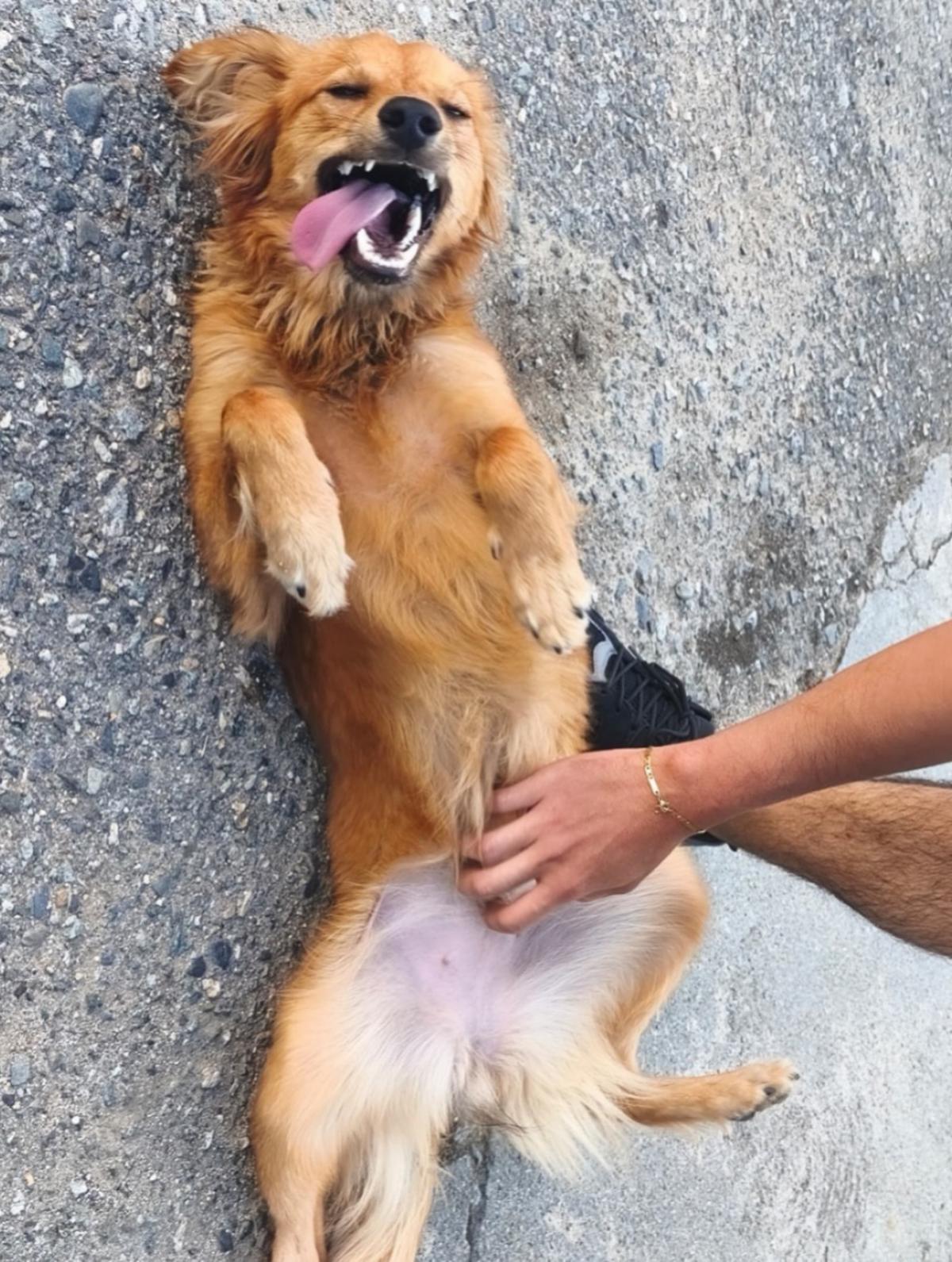 Príncipe, Floyd, Pedro +5 (17/20)