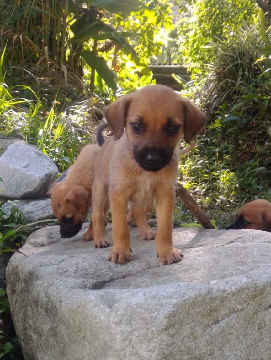 Príncipe, Floyd, Pedro +5 (18/20)
