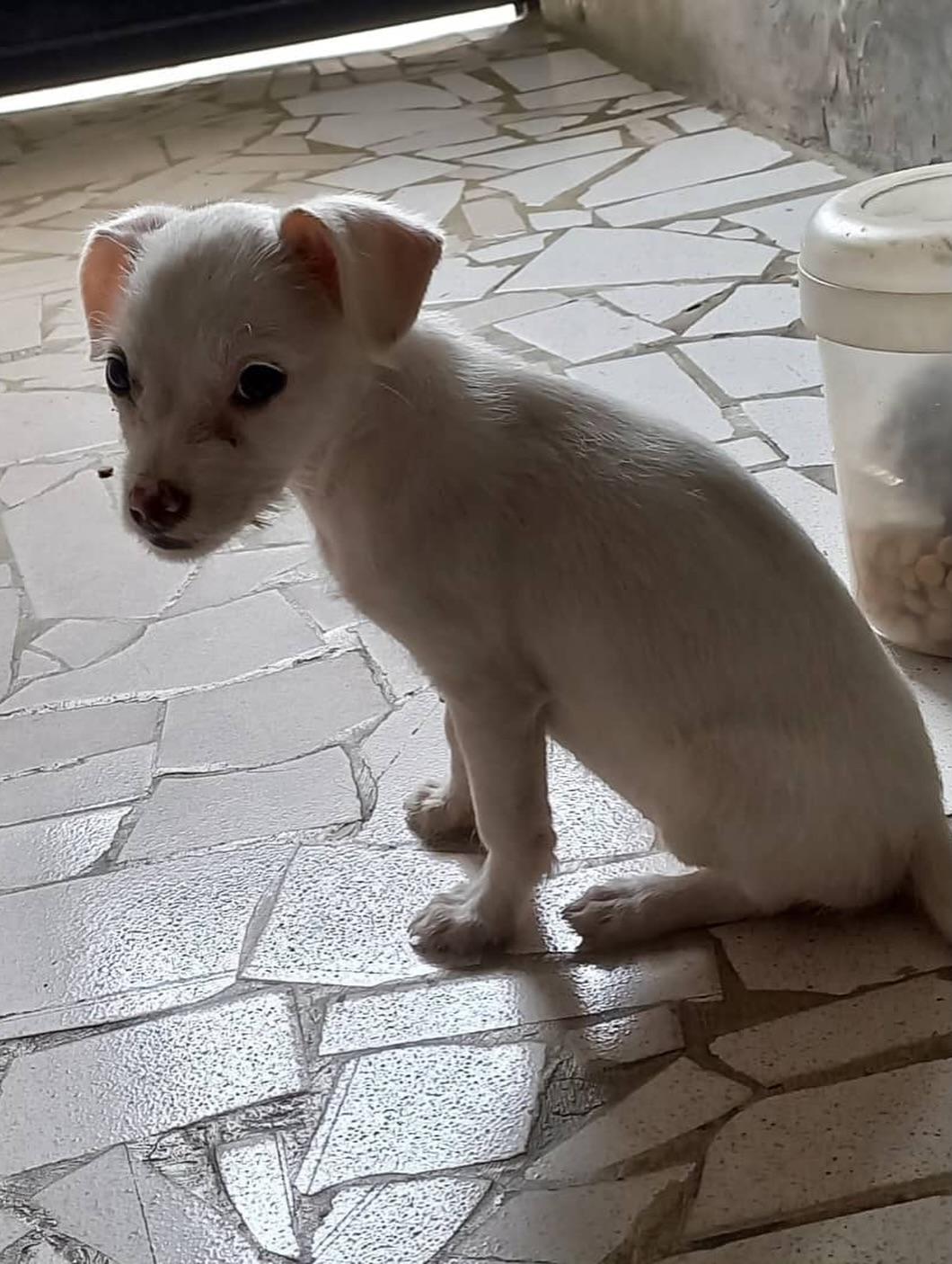 Príncipe, Floyd, Pedro +5 (20/20)