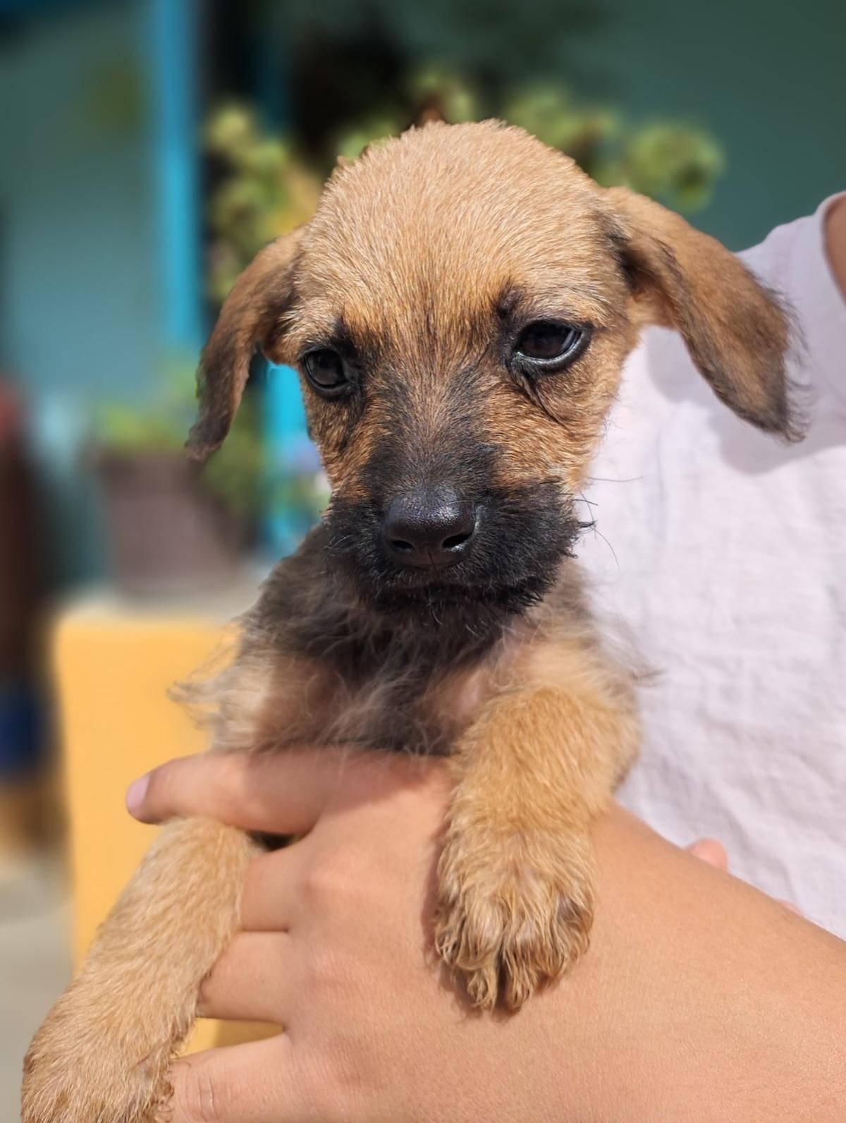 Príncipe, Floyd, Pedro +5 (3/20)