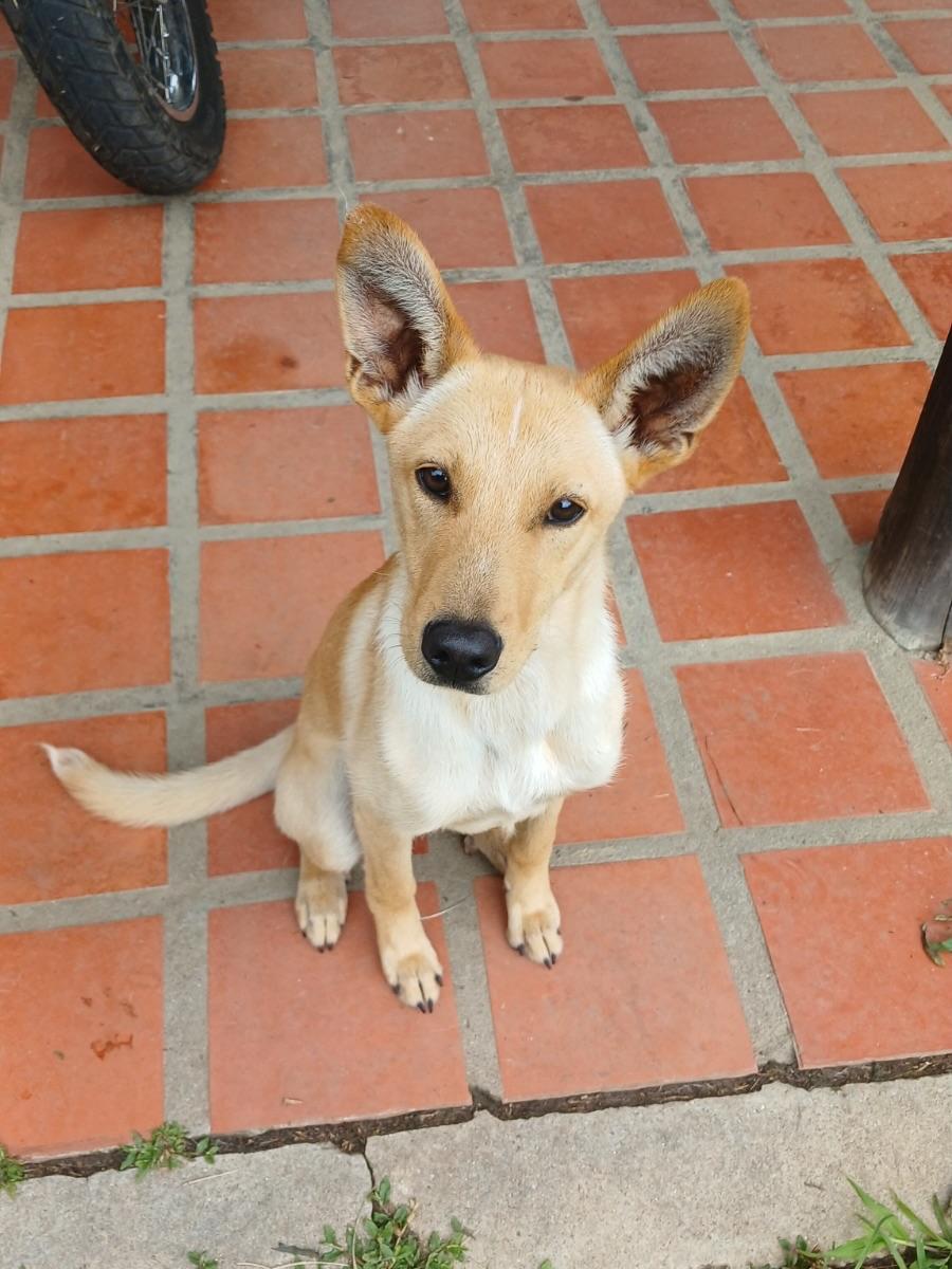Príncipe, Floyd, Pedro +5 (5/20)
