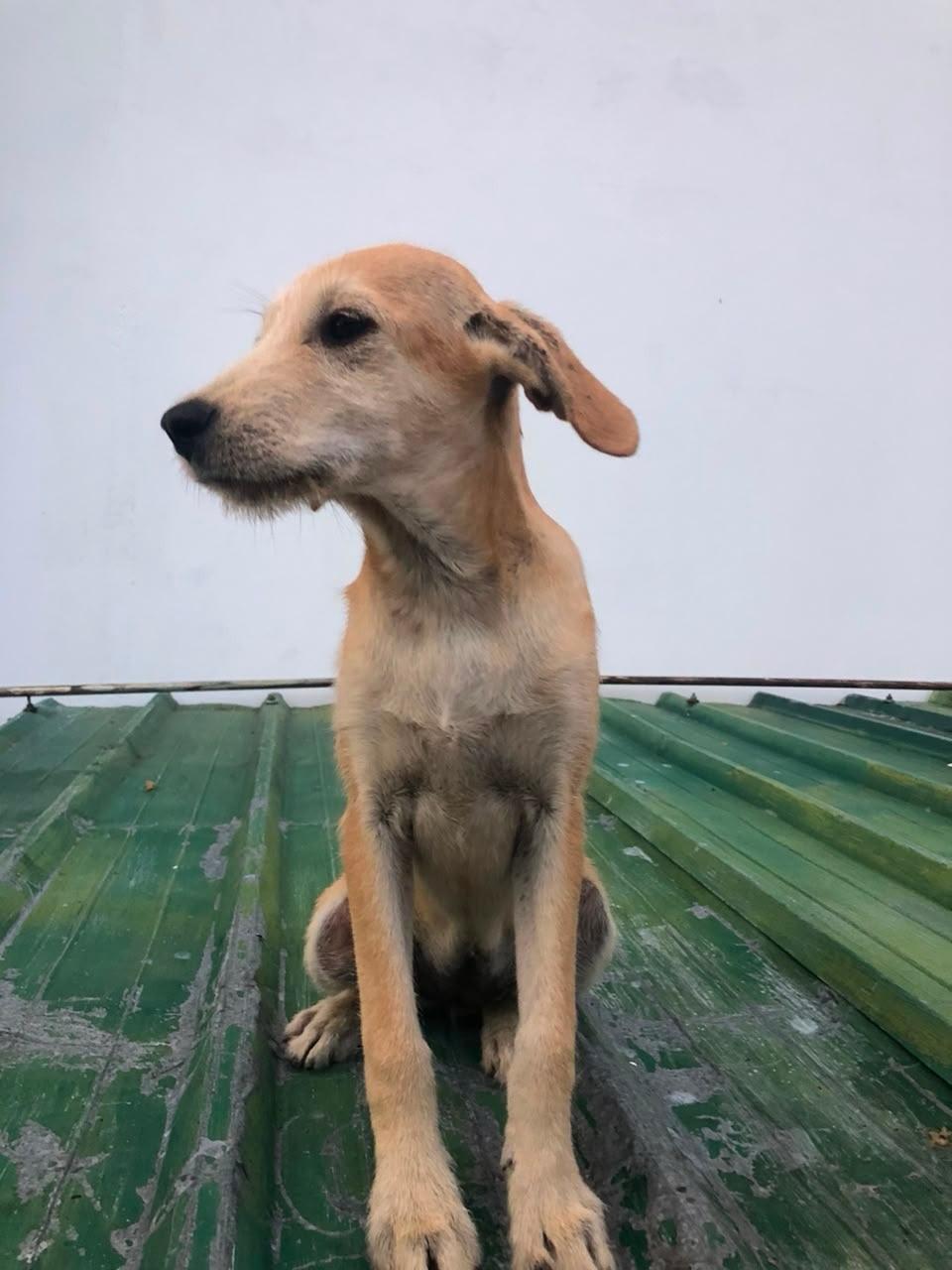 Príncipe, Floyd, Pedro +5 (7/20)