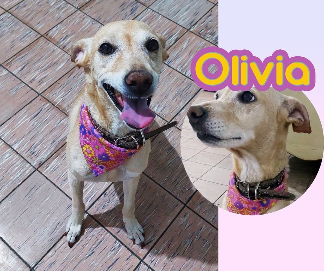 Olivia