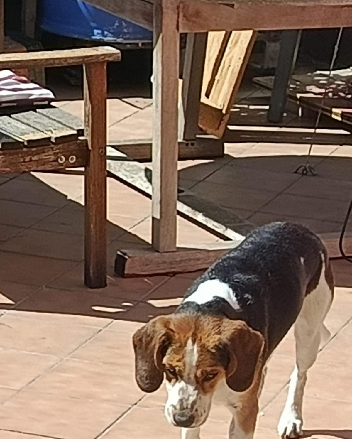 BIGGY (4/5)