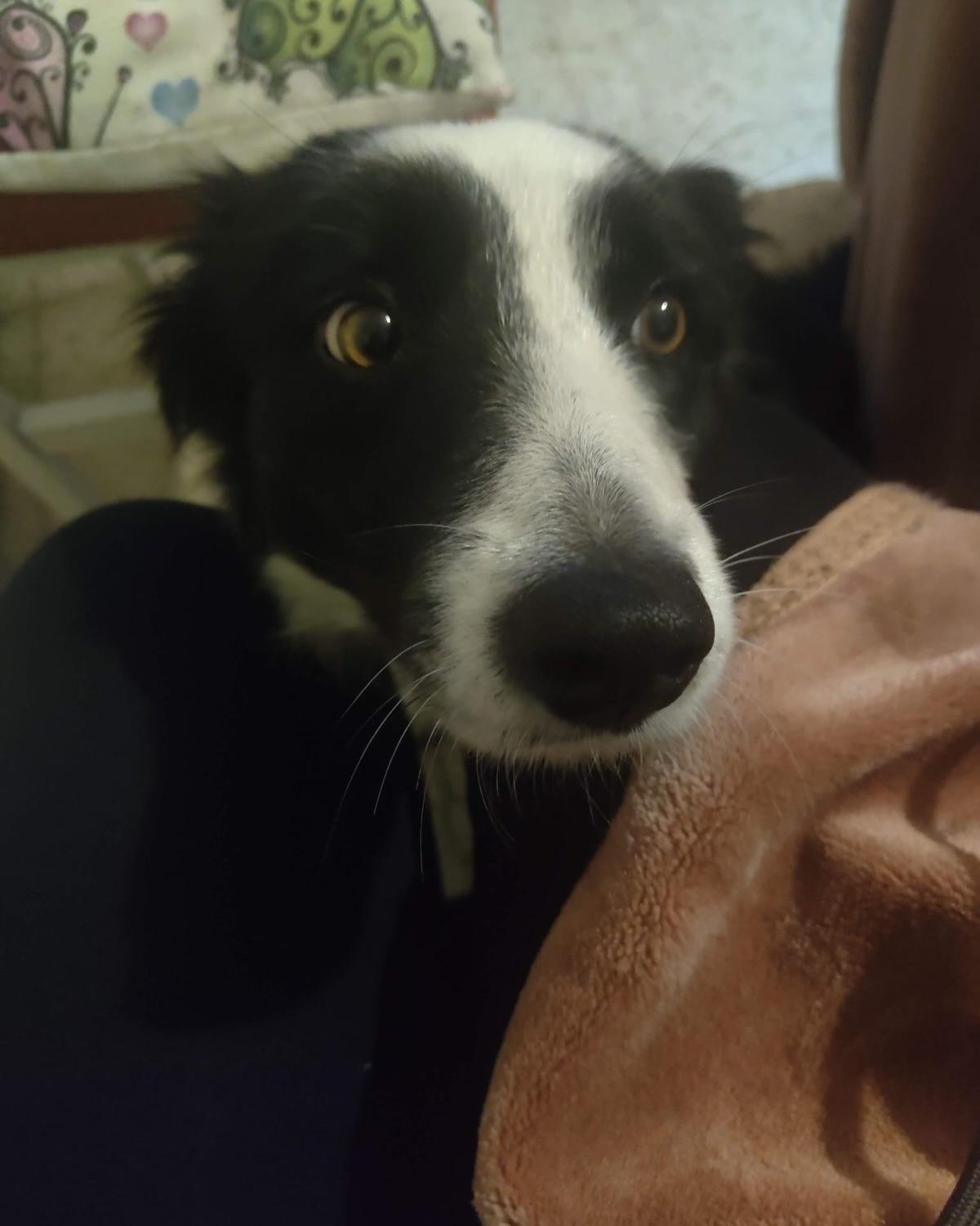 Luna (2/4)