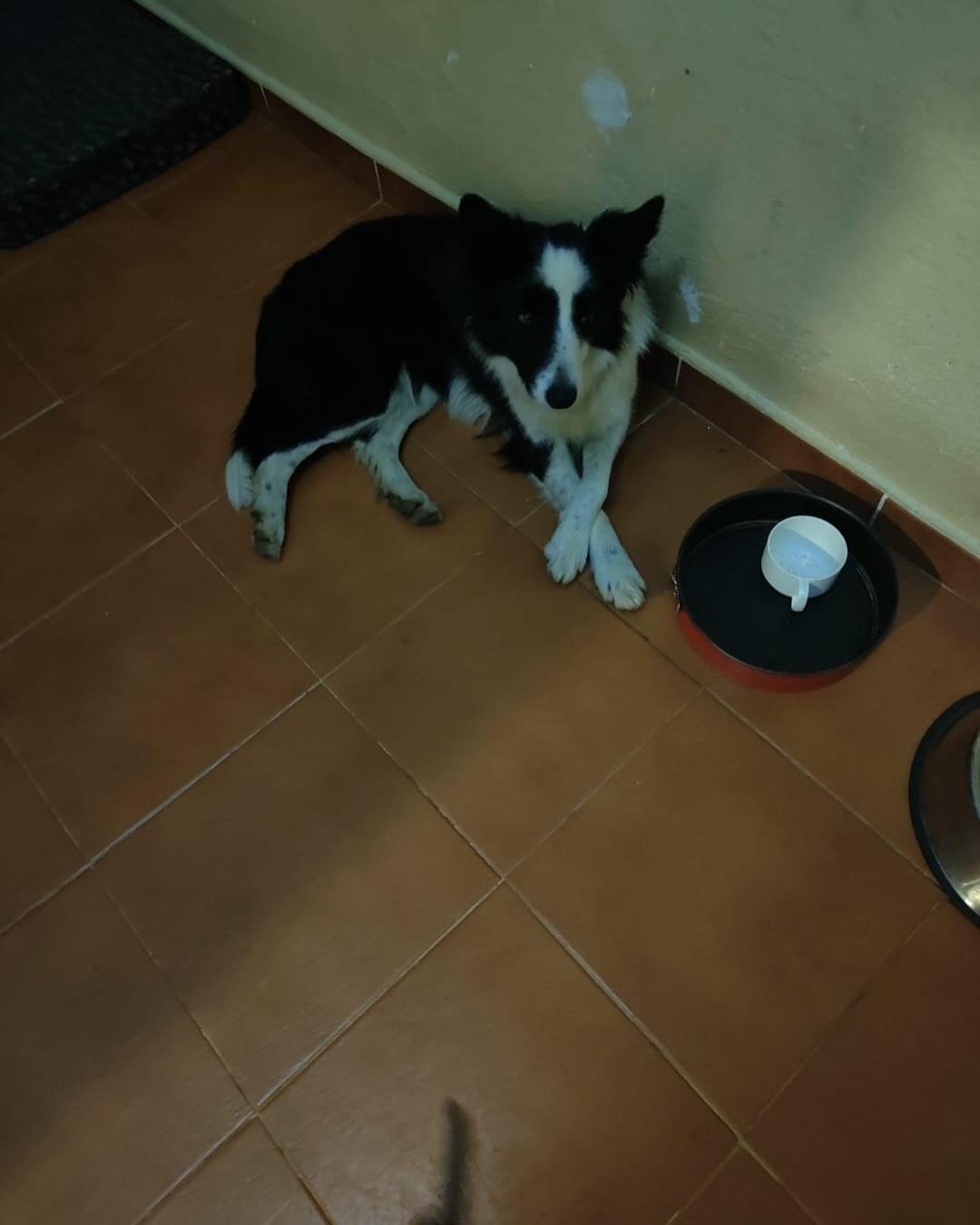 Luna (3/4)