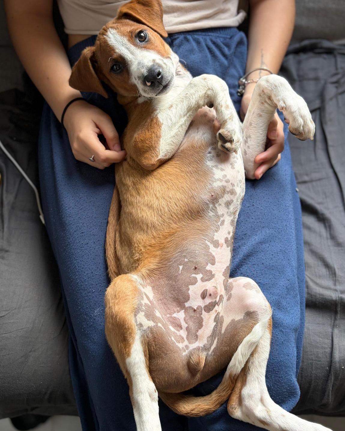 ZARÍN (3/5)