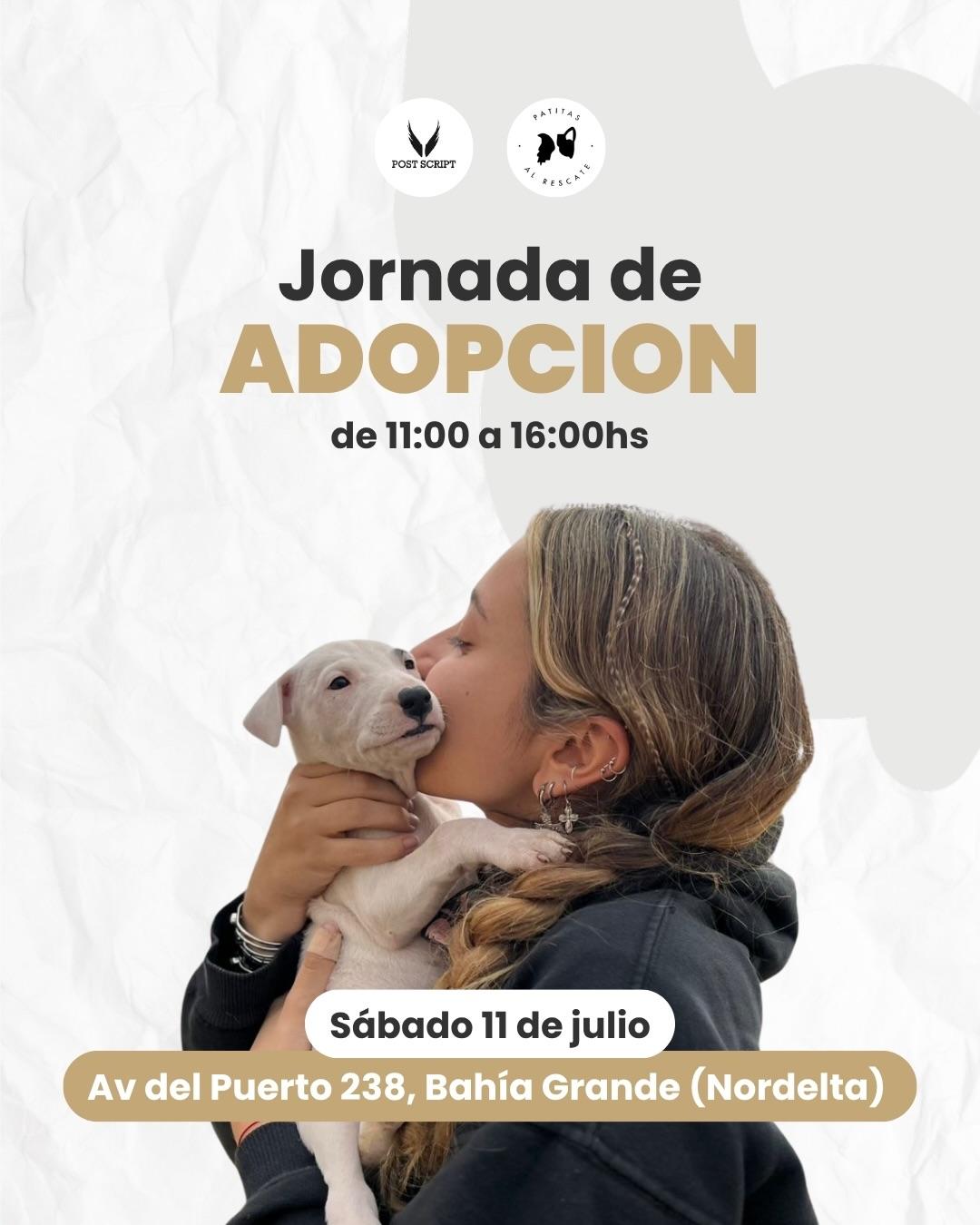 Camada Palma, Ceferino, Lilah +1 (1/2)