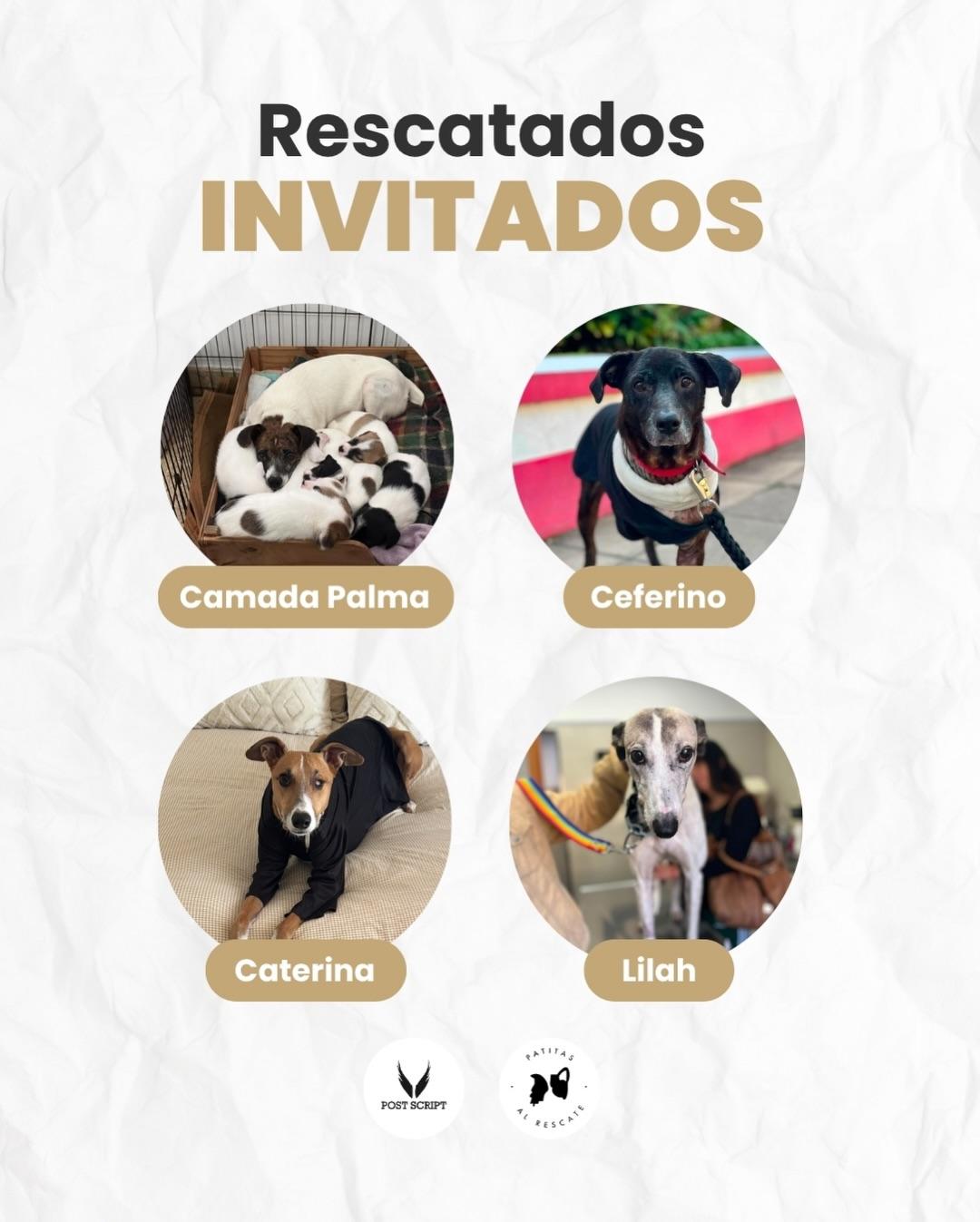 Camada Palma, Ceferino, Lilah +1 (2/2)