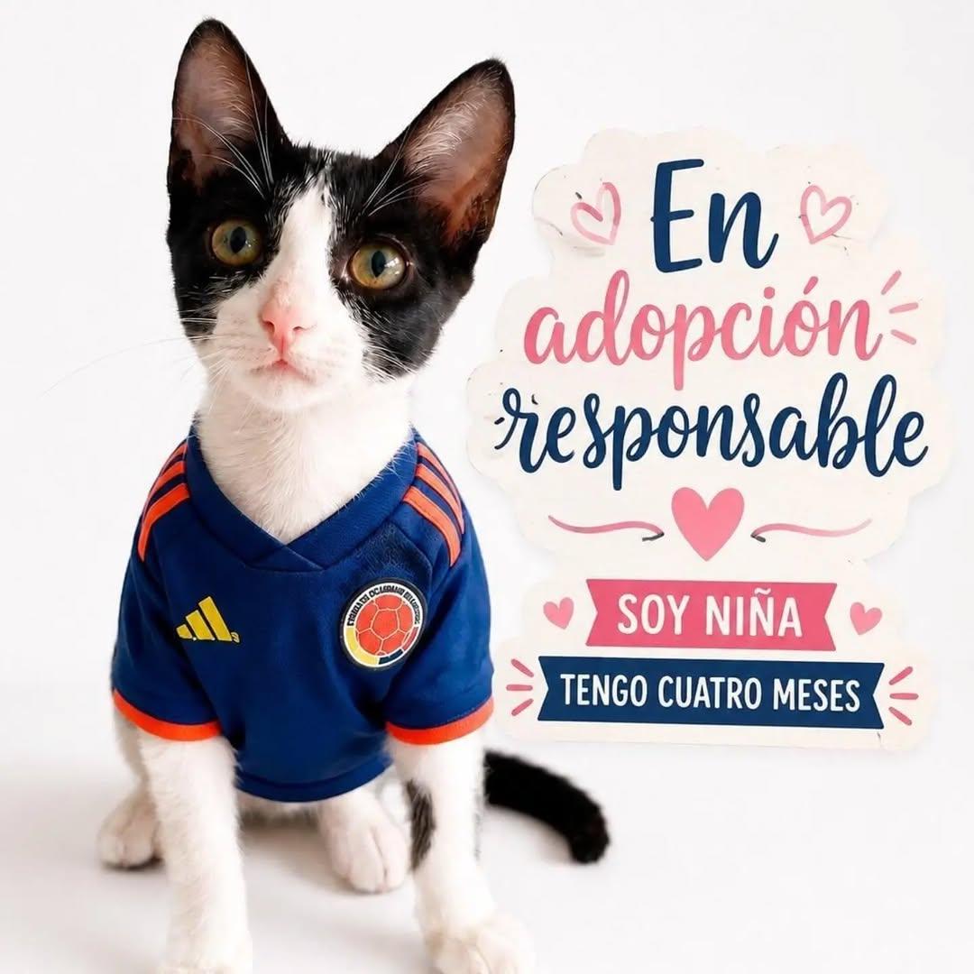 Sin nombre