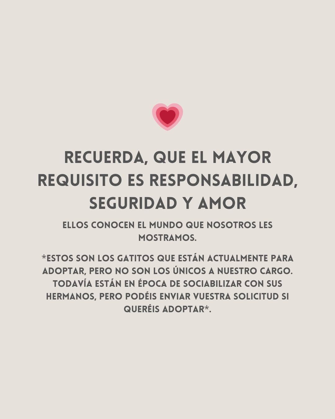 Sin nombre (5/6)