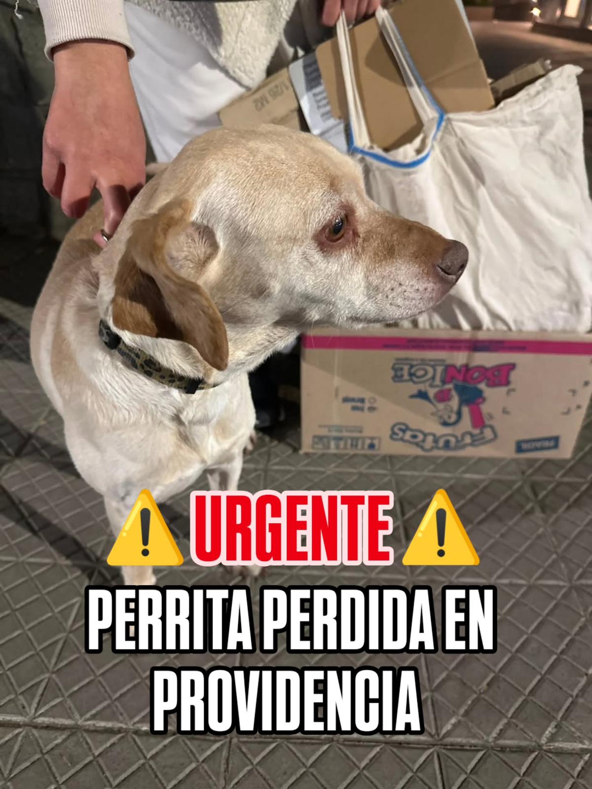 Sin nombre (1/2)