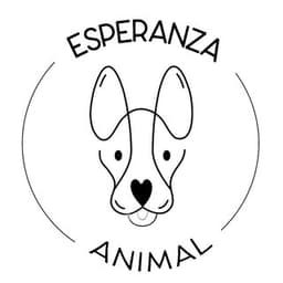 Esperanza Animal | Caro Zuleta | Rescate y esterilizaciones