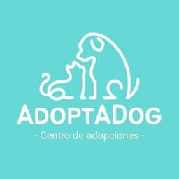 AdoptADog | Mascotas en adopción responsable