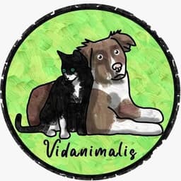 Asociación Vidanimalis 🐾💚