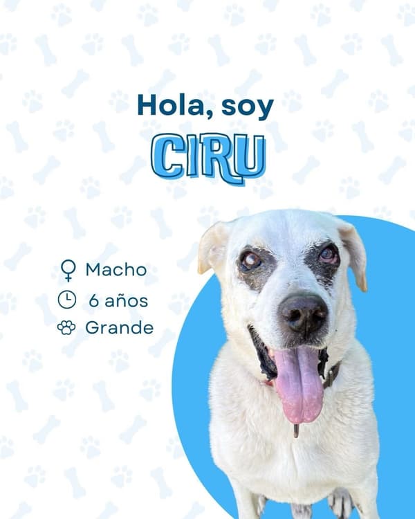 Ciru