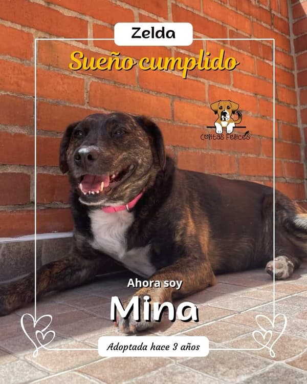 Hilda