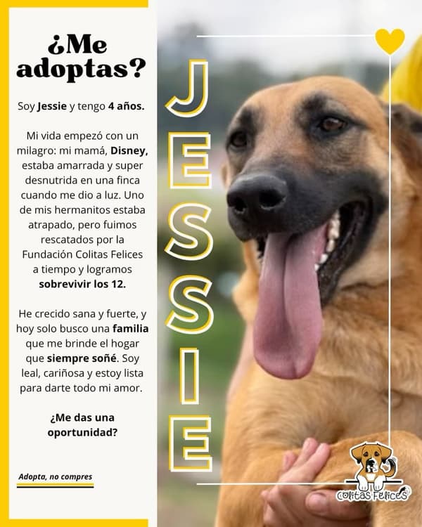 Jessie