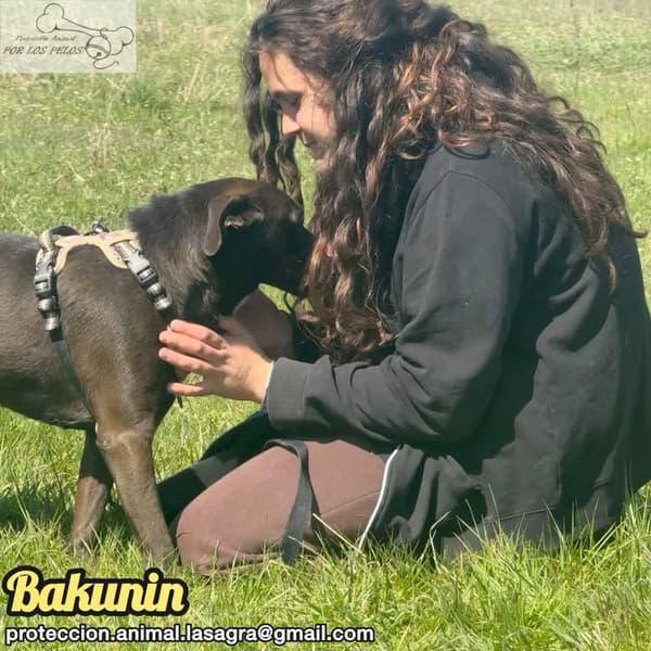 Bakunin