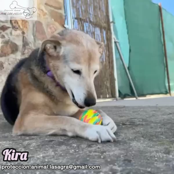 Kira