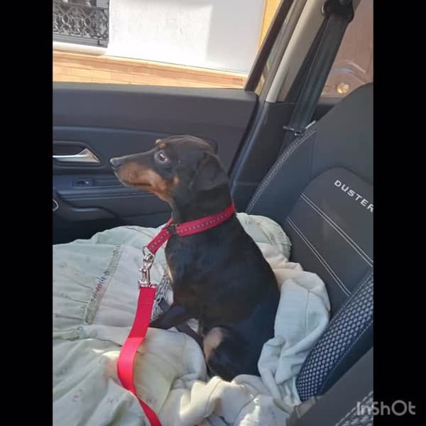 LAILA