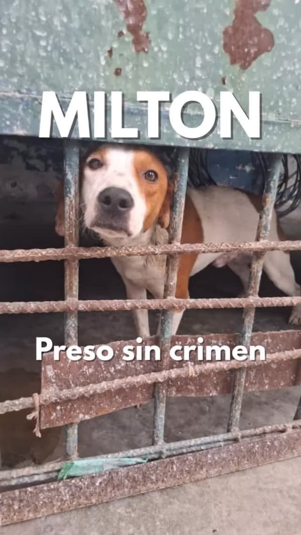 Milton