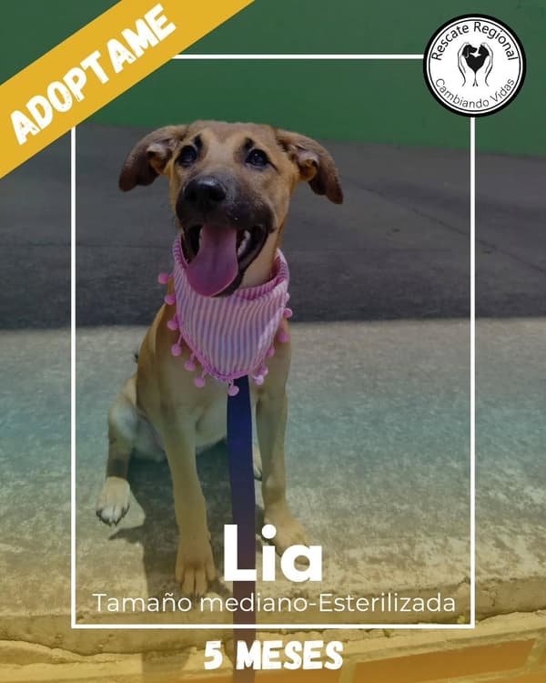 Lia