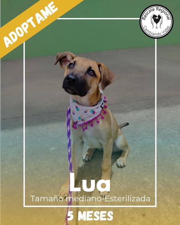 Lua