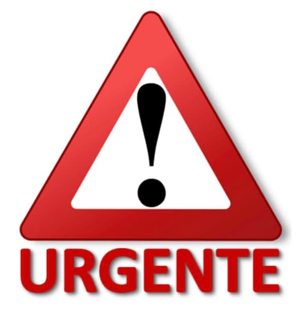Sin nombre