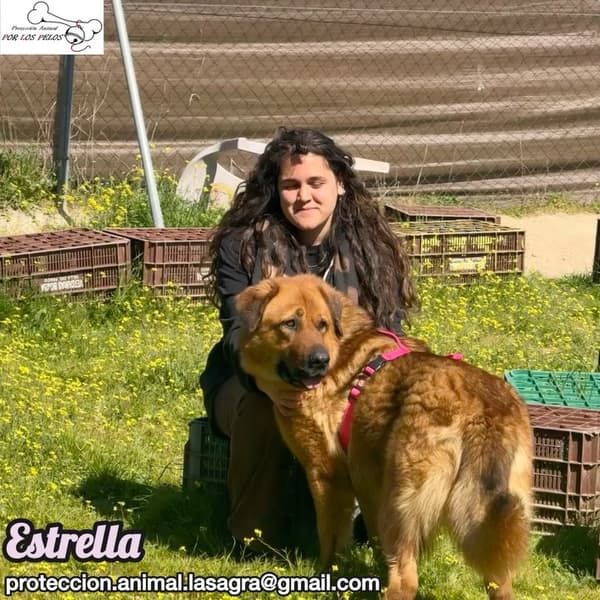 Estrella