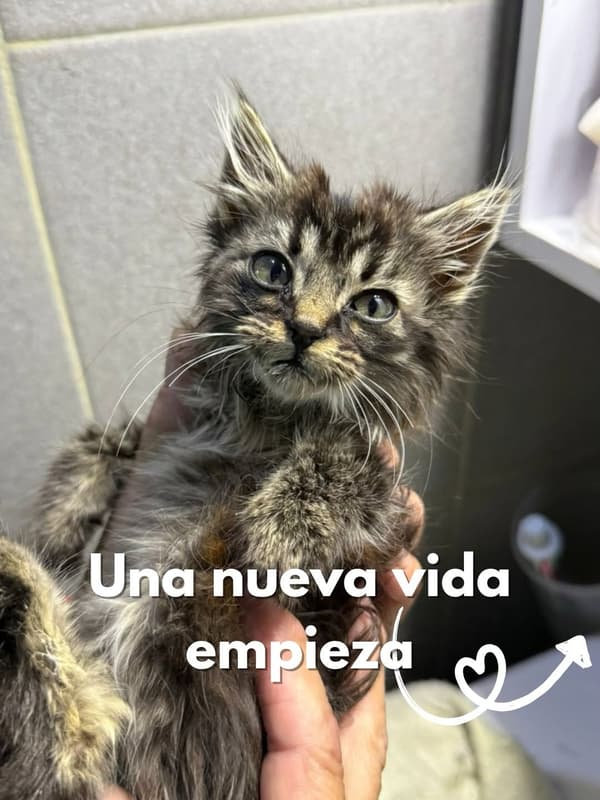 Sin nombre