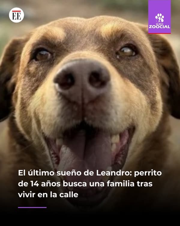 Leandro