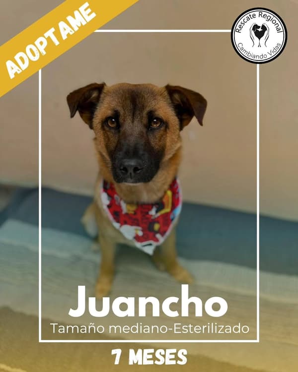 Juancho